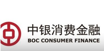 中銀消費金融有限公司 專業的金融中介服務提供商